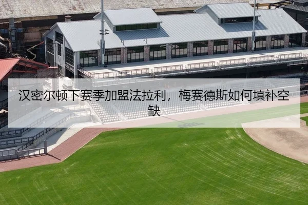 汉密尔顿下赛季加盟法拉利，梅赛德斯如何填补空缺